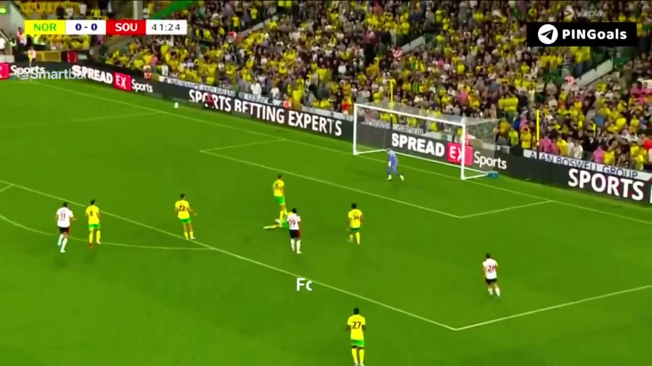 zaslepka skrotu video