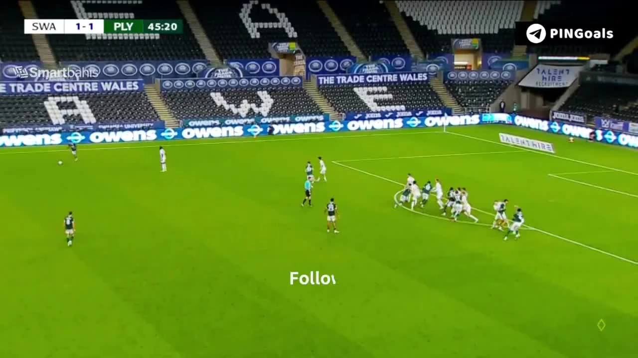 zaslepka skrotu video