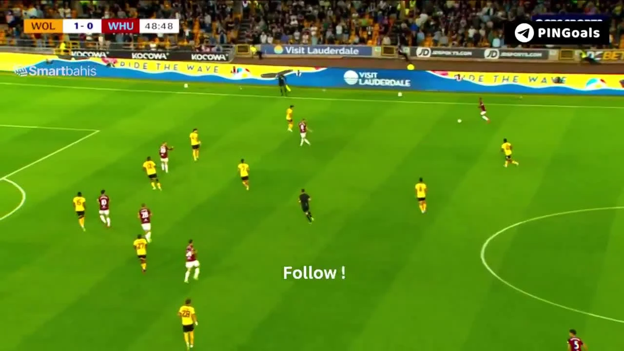 zaslepka skrotu video
