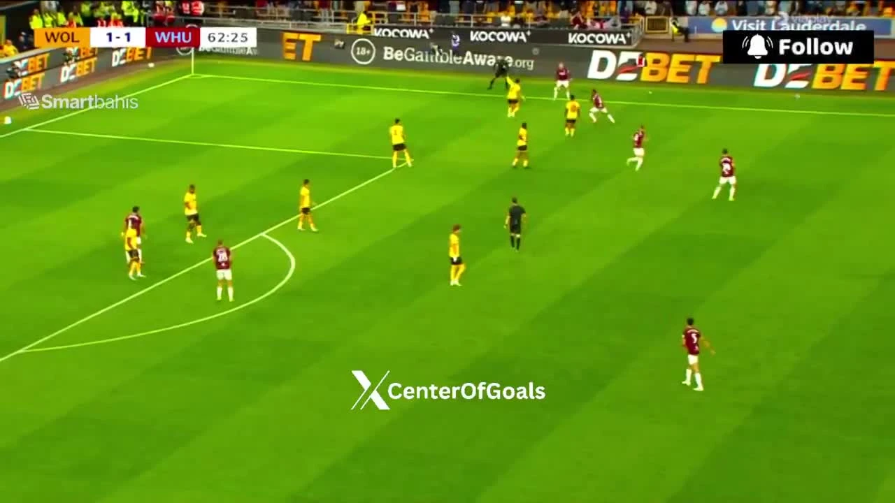 zaslepka skrotu video