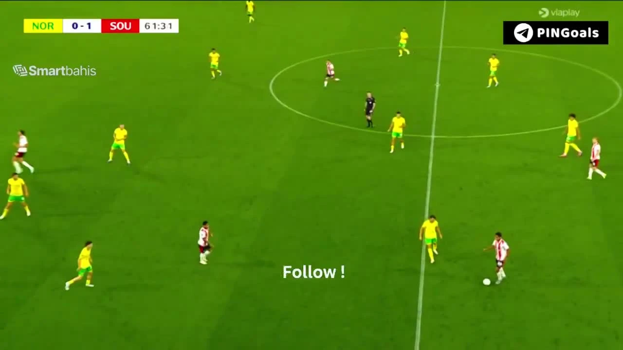 zaslepka skrotu video