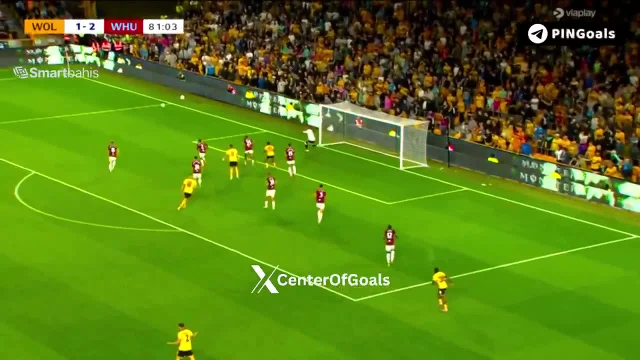 zaslepka skrotu video