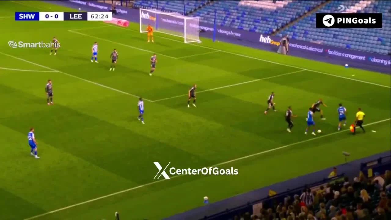zaslepka skrotu video
