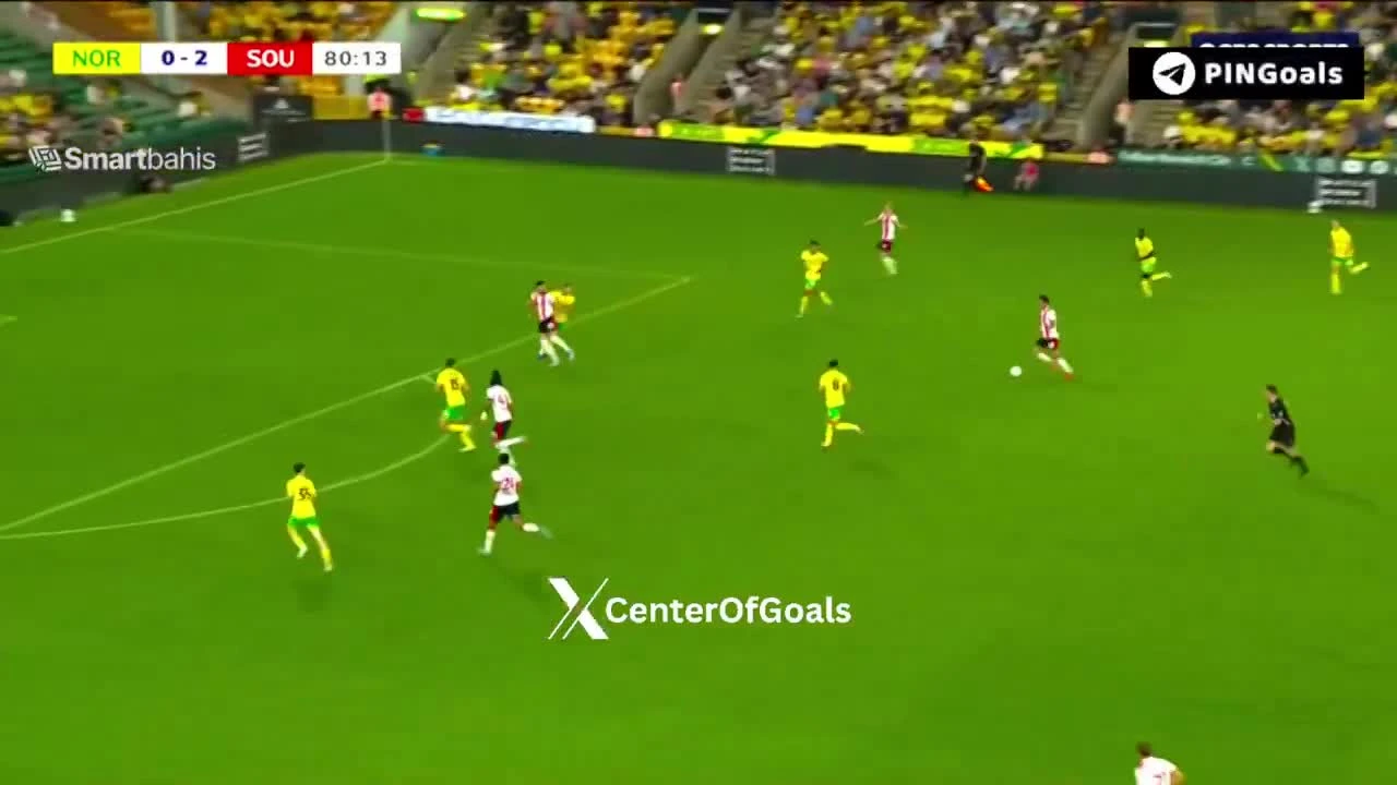 zaslepka skrotu video