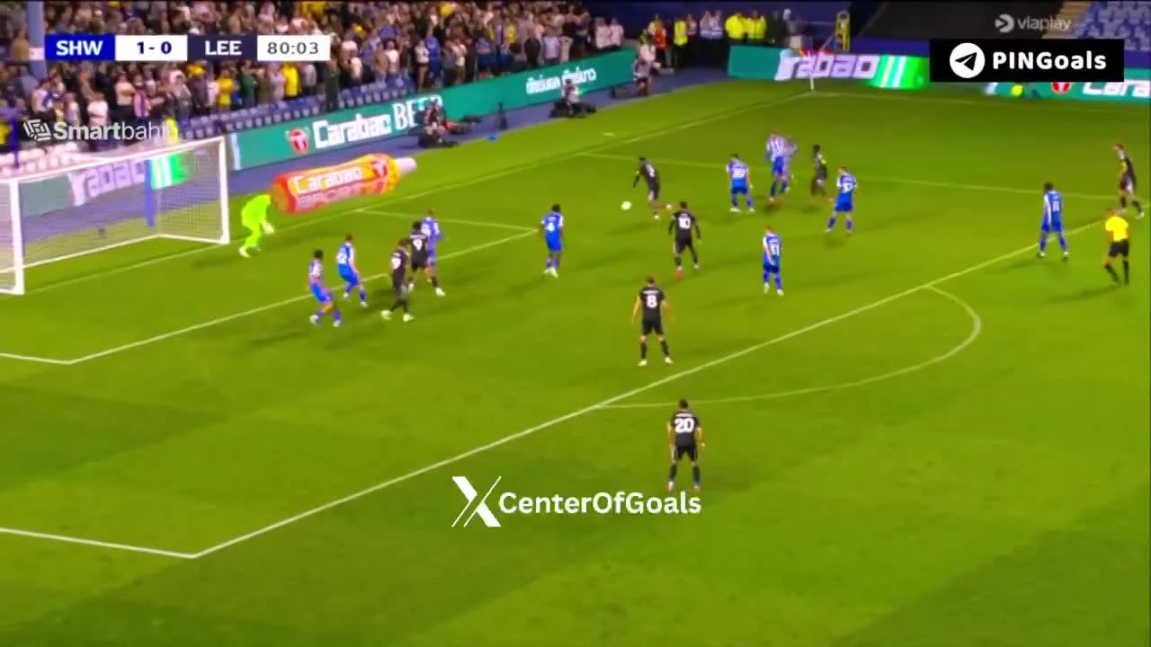 zaslepka skrotu video