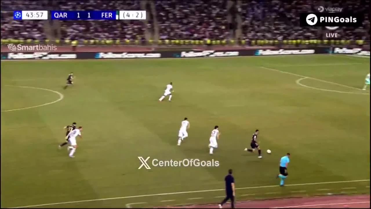 zaslepka skrotu video