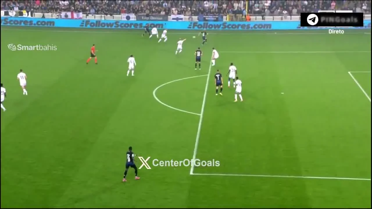 zaslepka skrotu video