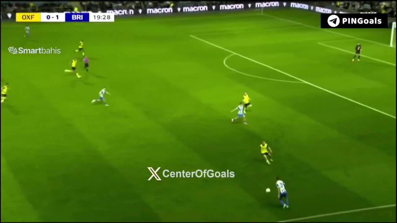 zaslepka skrotu video