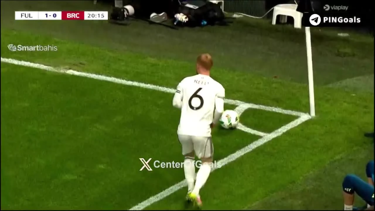 zaslepka skrotu video
