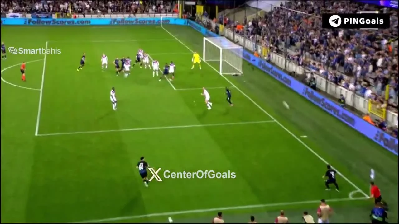 zaslepka skrotu video