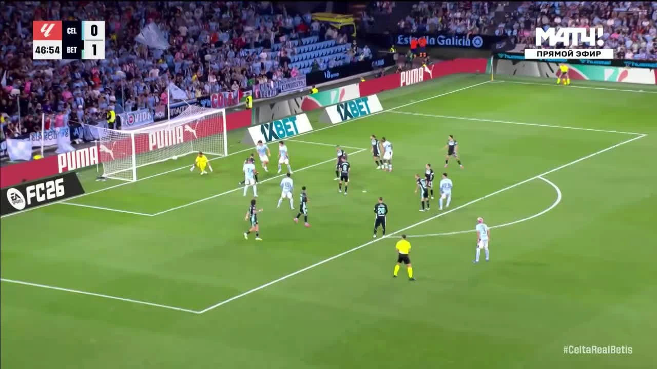 zaslepka skrotu video