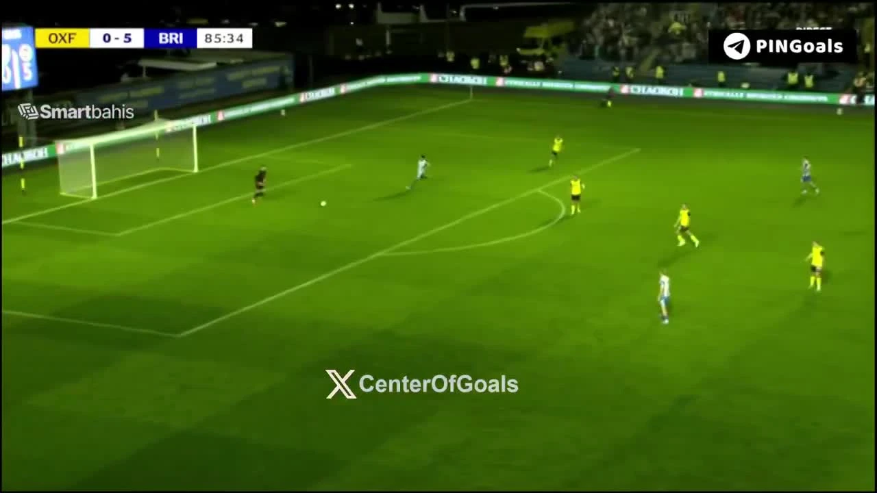 zaslepka skrotu video