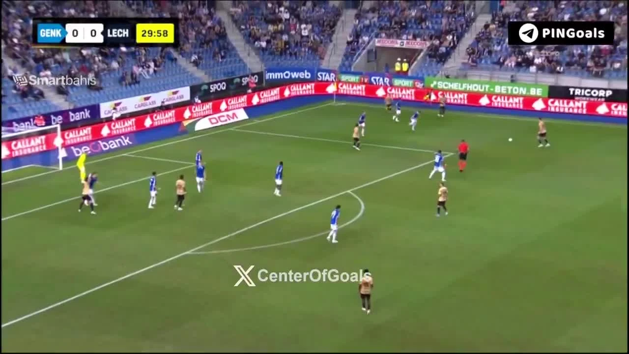 zaslepka skrotu video