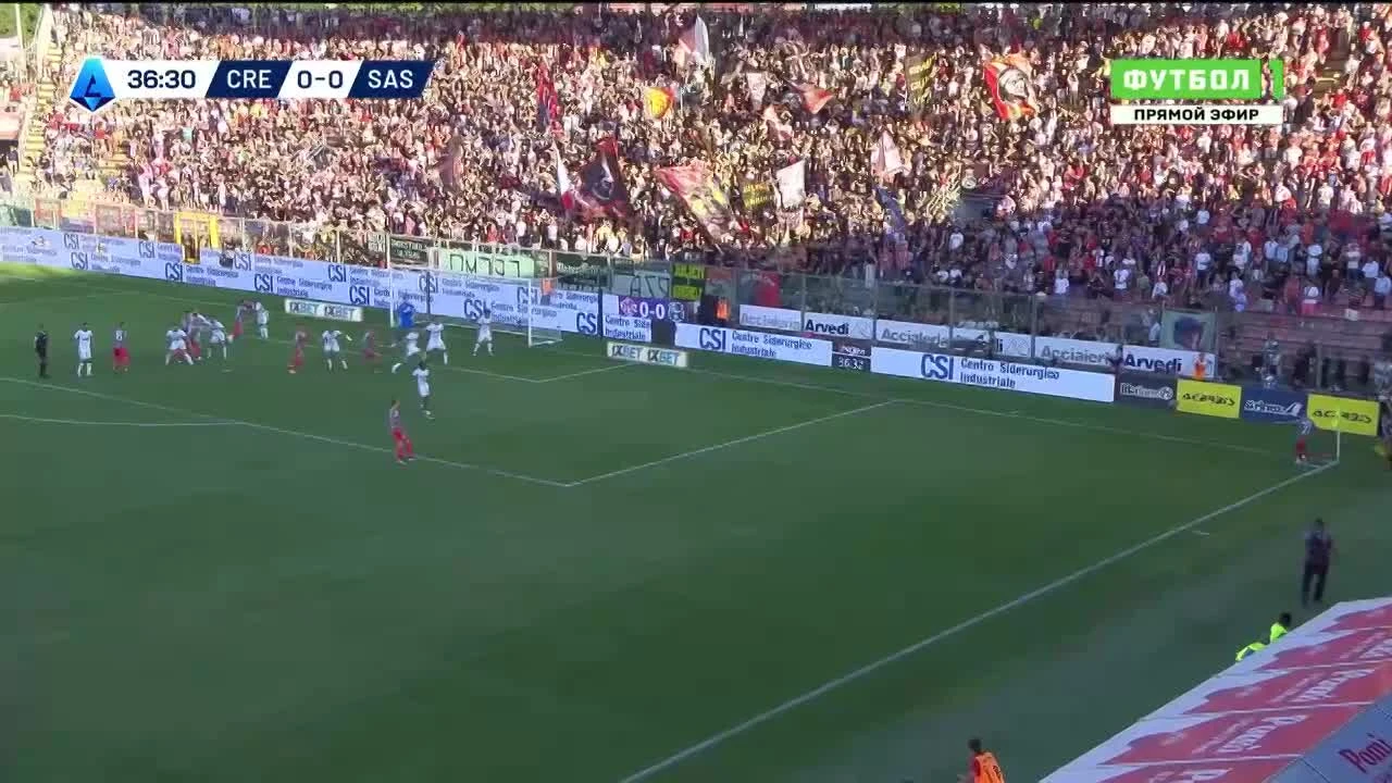 zaslepka skrotu video