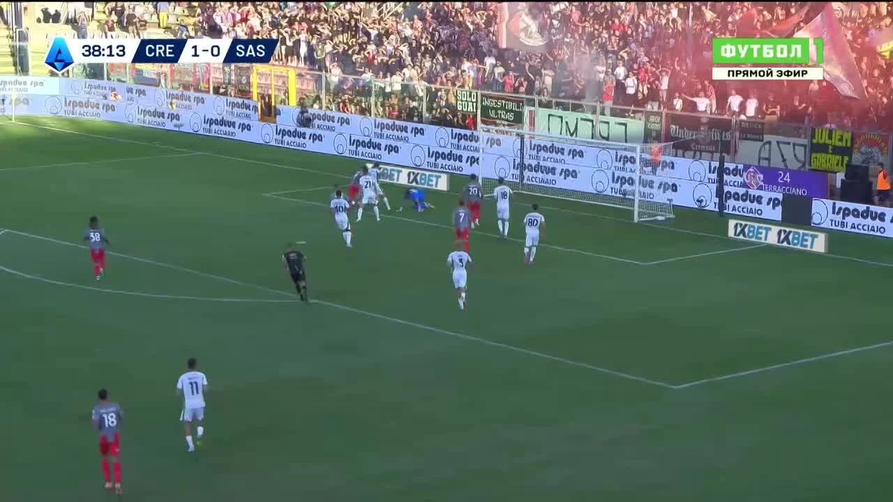 zaslepka skrotu video