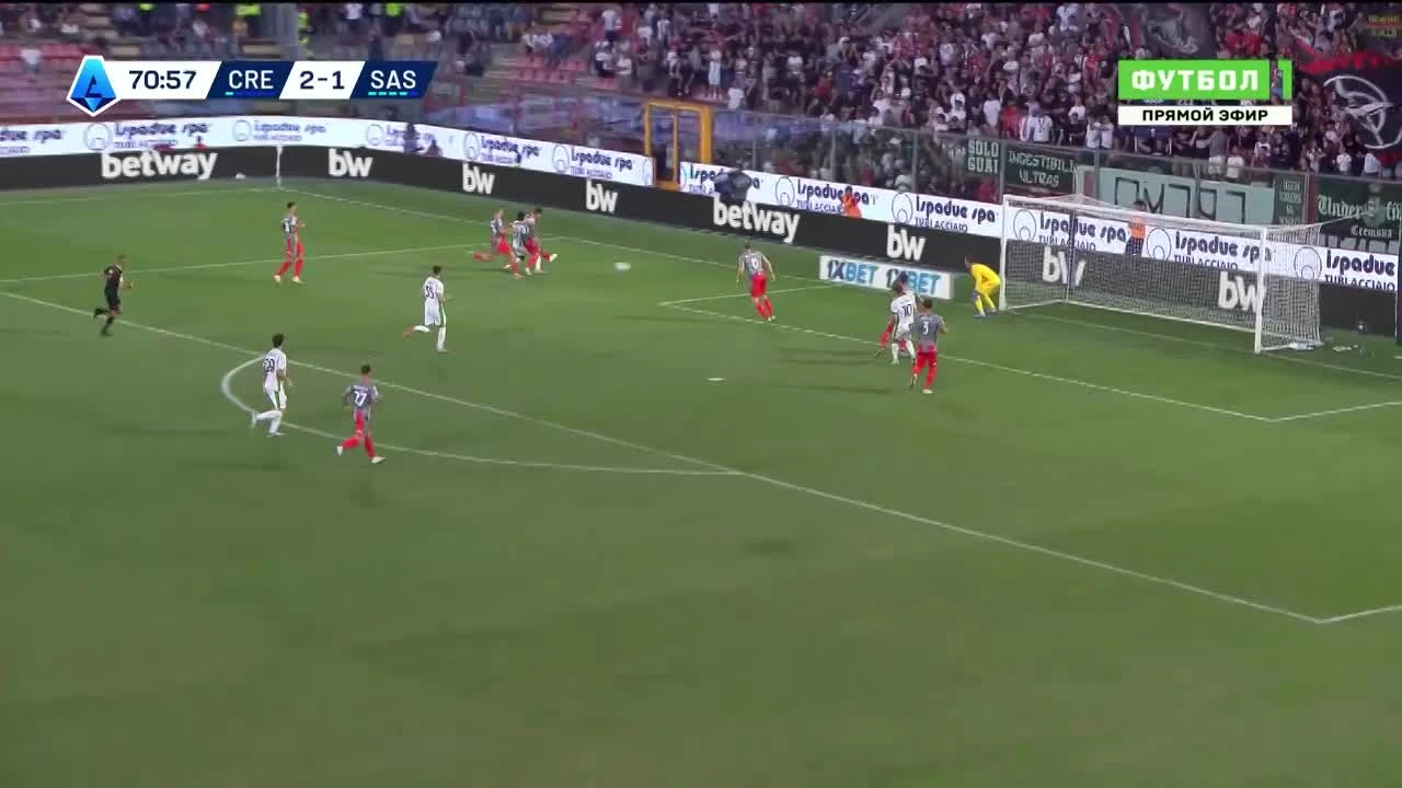 zaslepka skrotu video