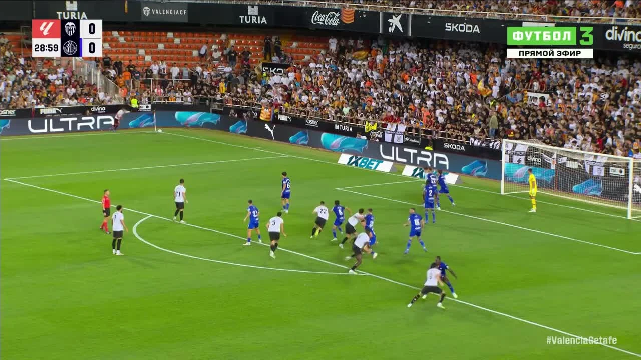 zaslepka skrotu video