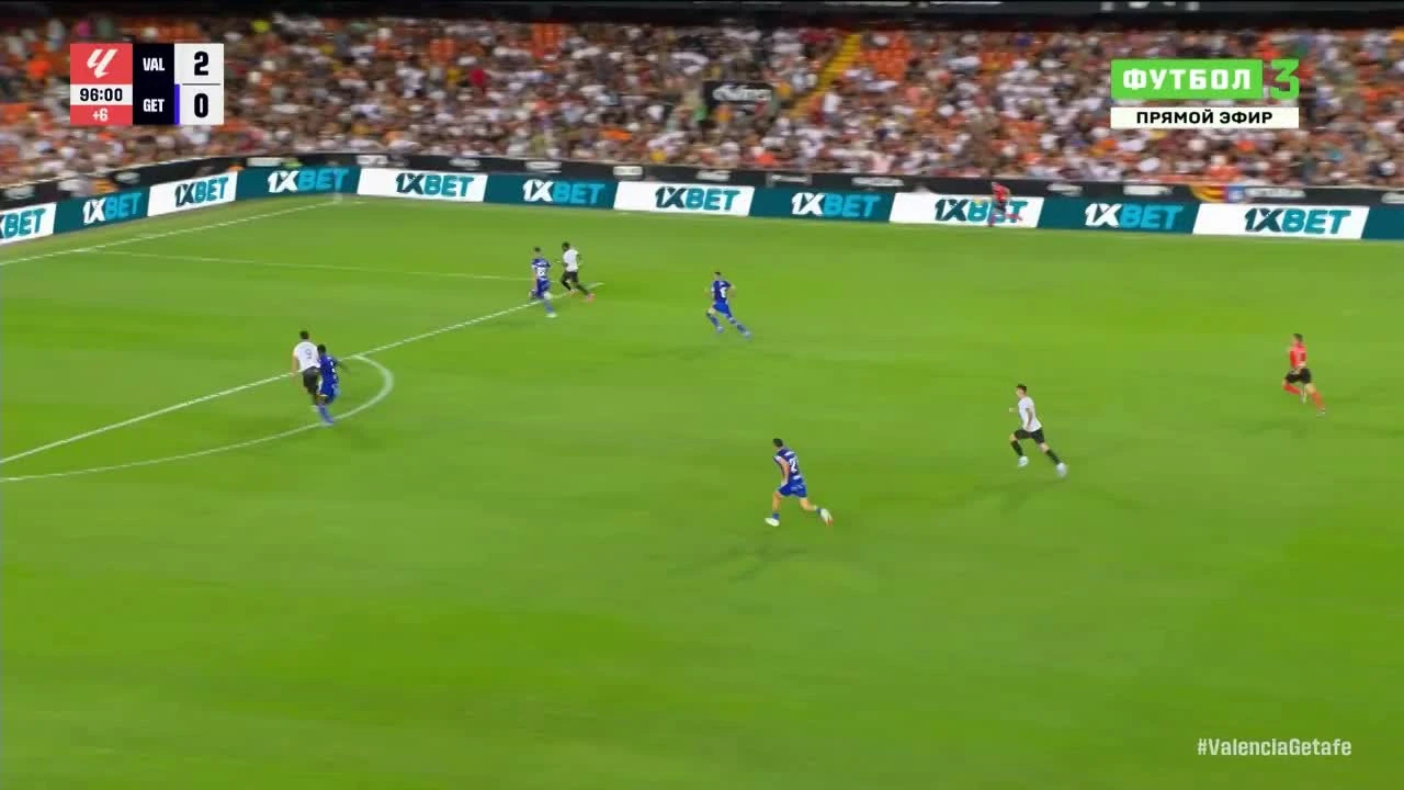 zaslepka skrotu video