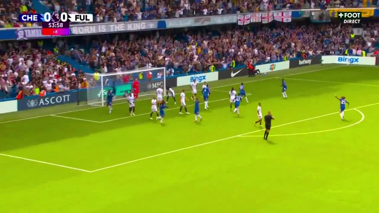 zaslepka skrotu video