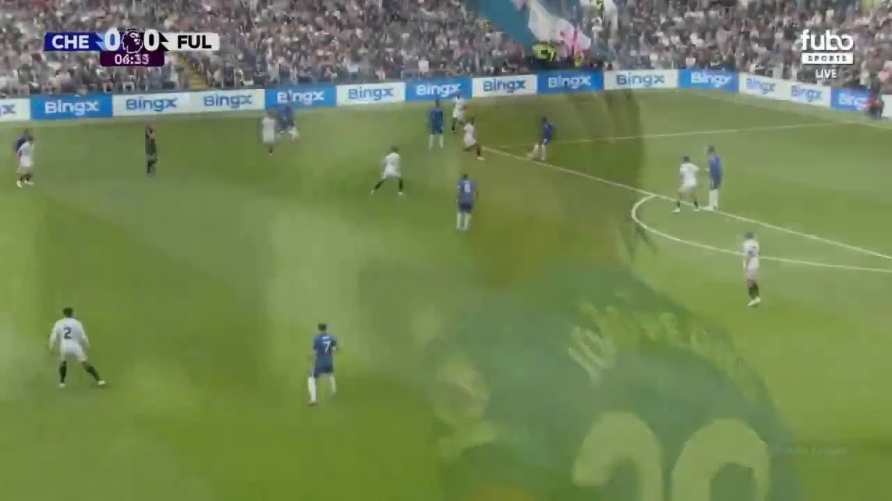 zaslepka skrotu video