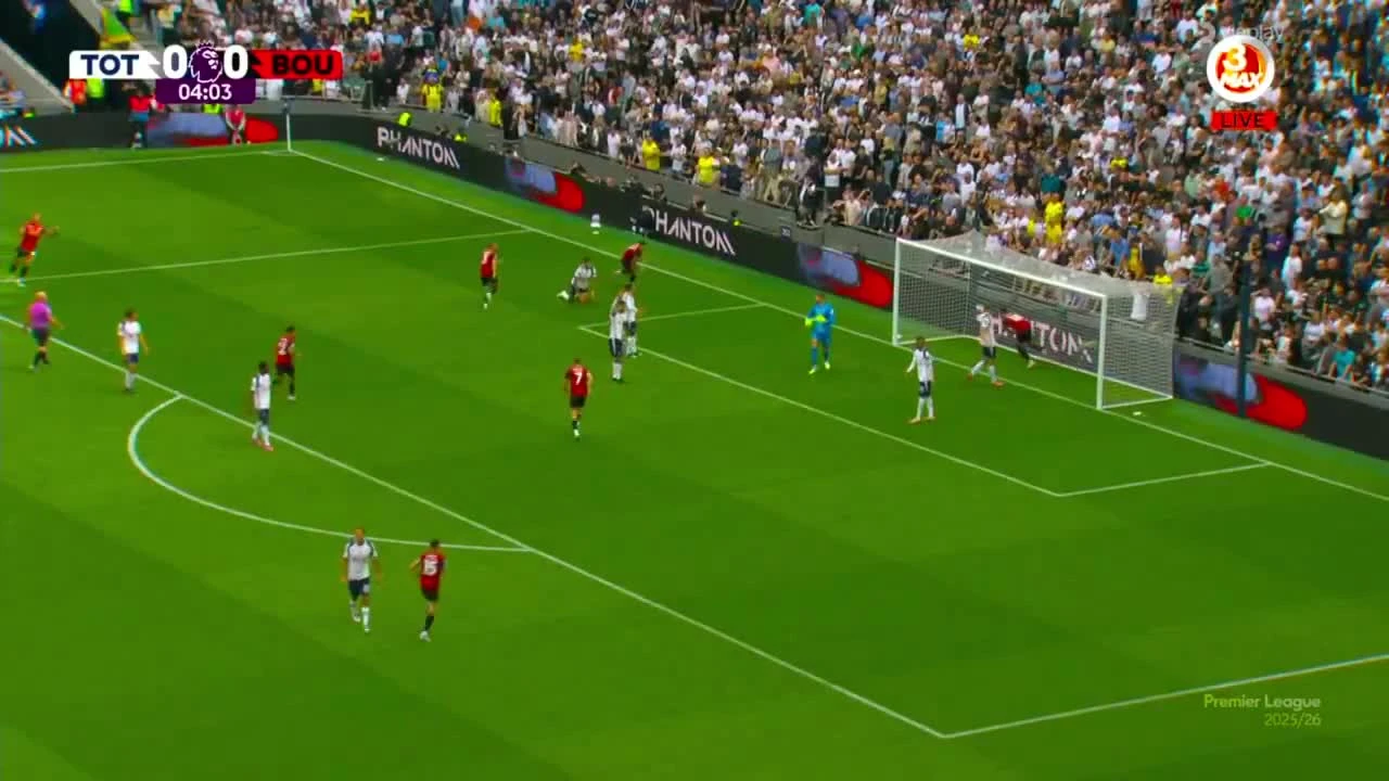 zaslepka skrotu video