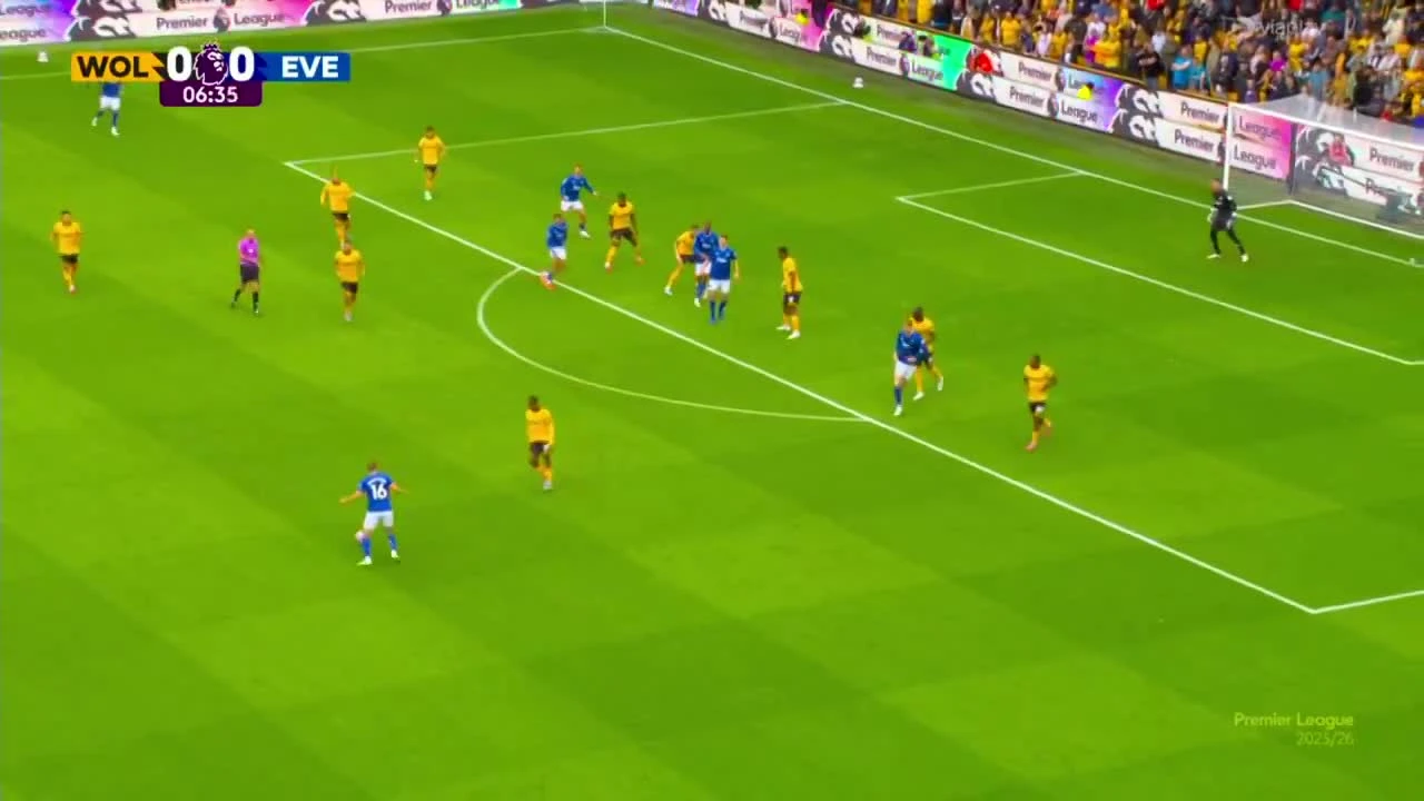 zaslepka skrotu video