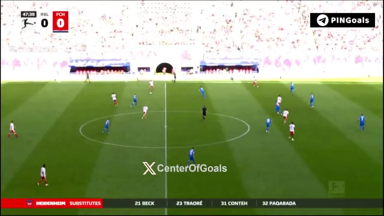 zaslepka skrotu video