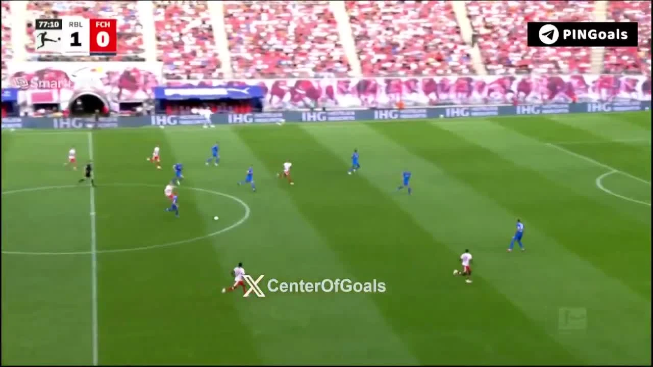 zaslepka skrotu video