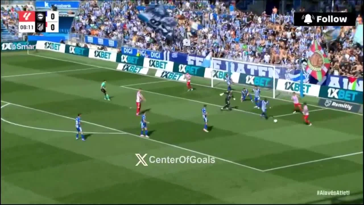 zaslepka skrotu video
