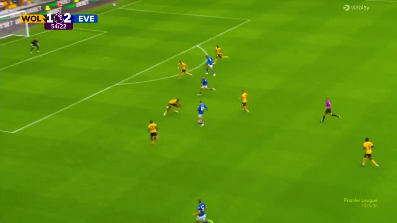 zaslepka skrotu video