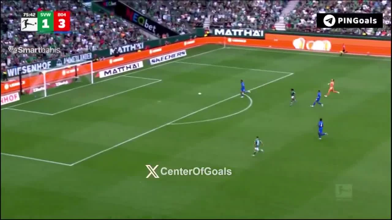 zaslepka skrotu video