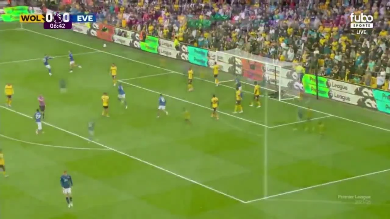 zaslepka skrotu video