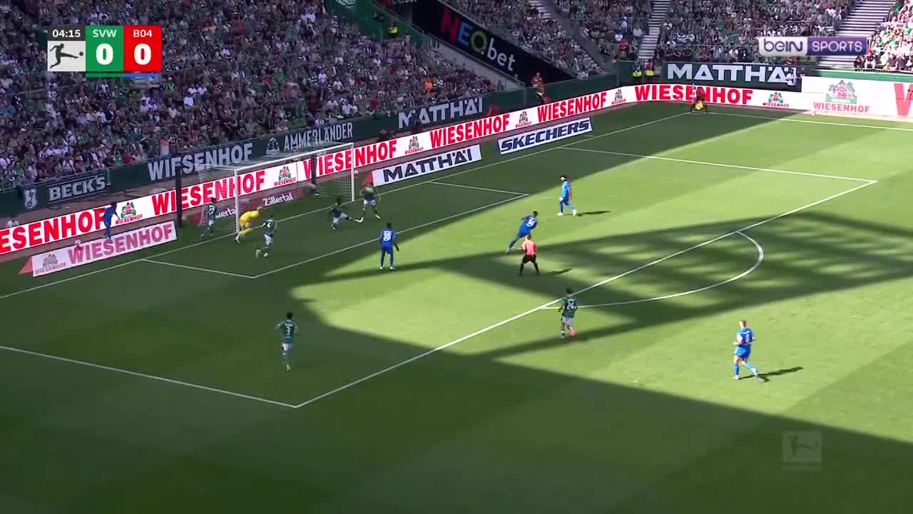 zaslepka skrotu video