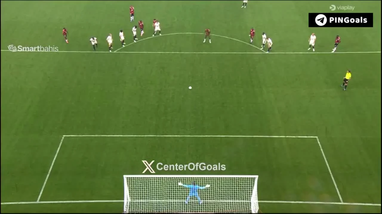zaslepka skrotu video