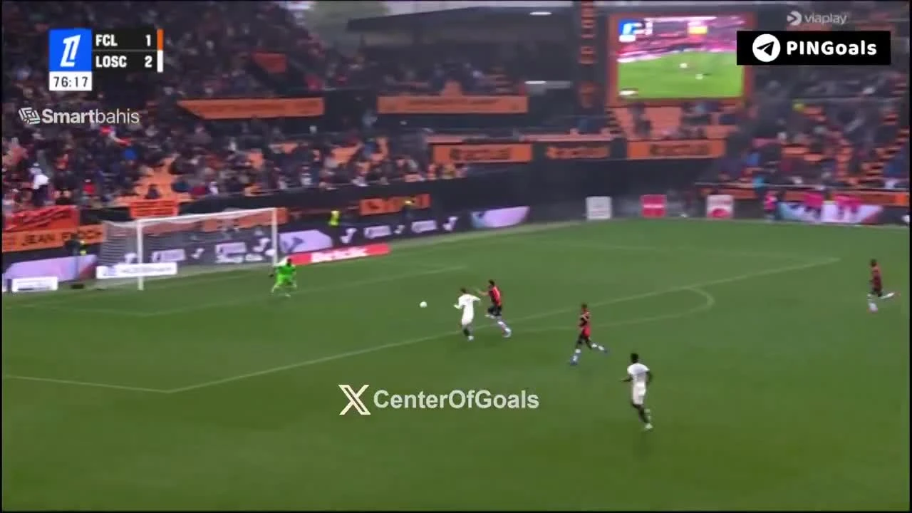 zaslepka skrotu video