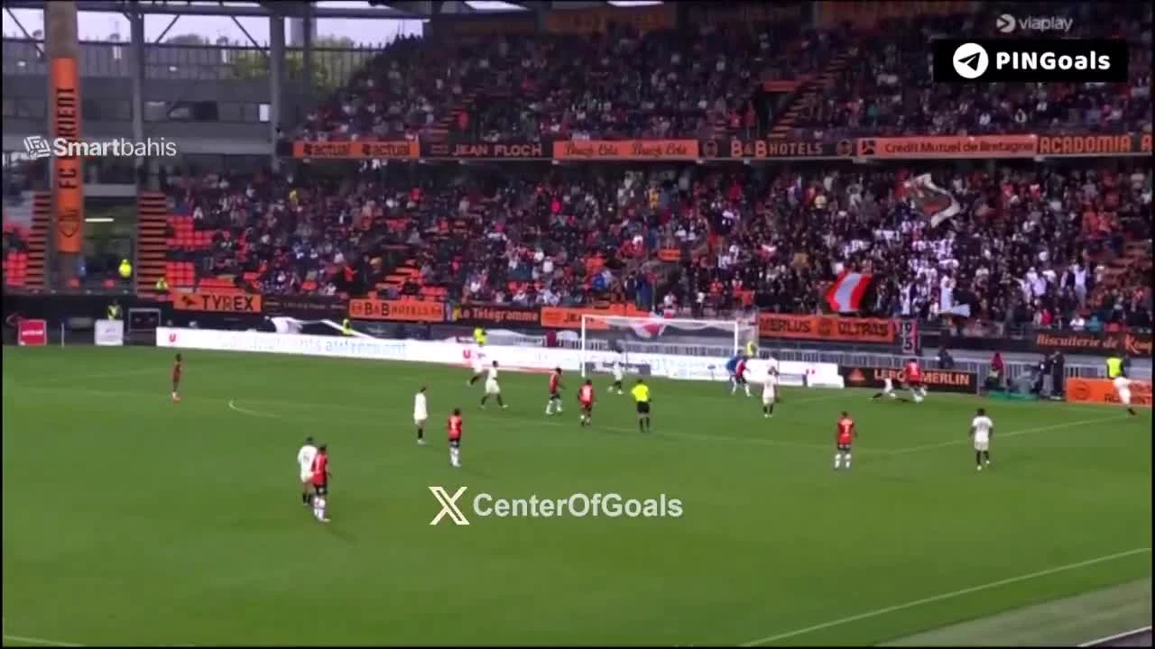 zaslepka skrotu video