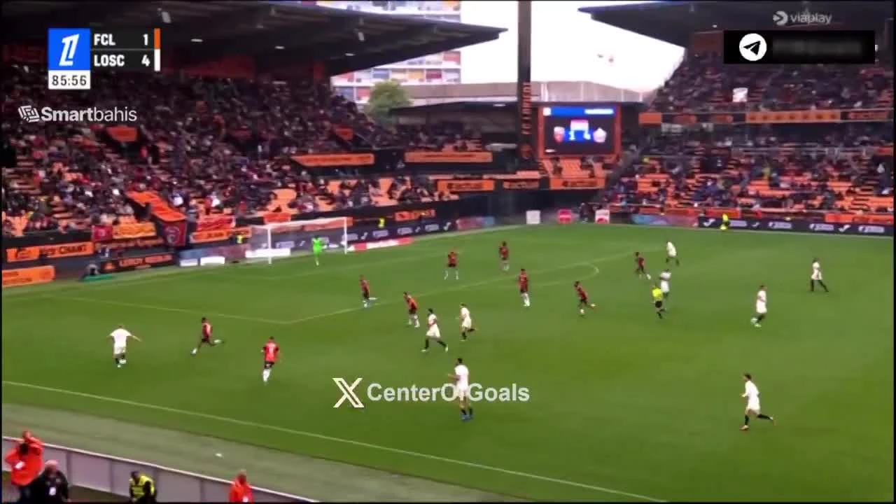 zaslepka skrotu video