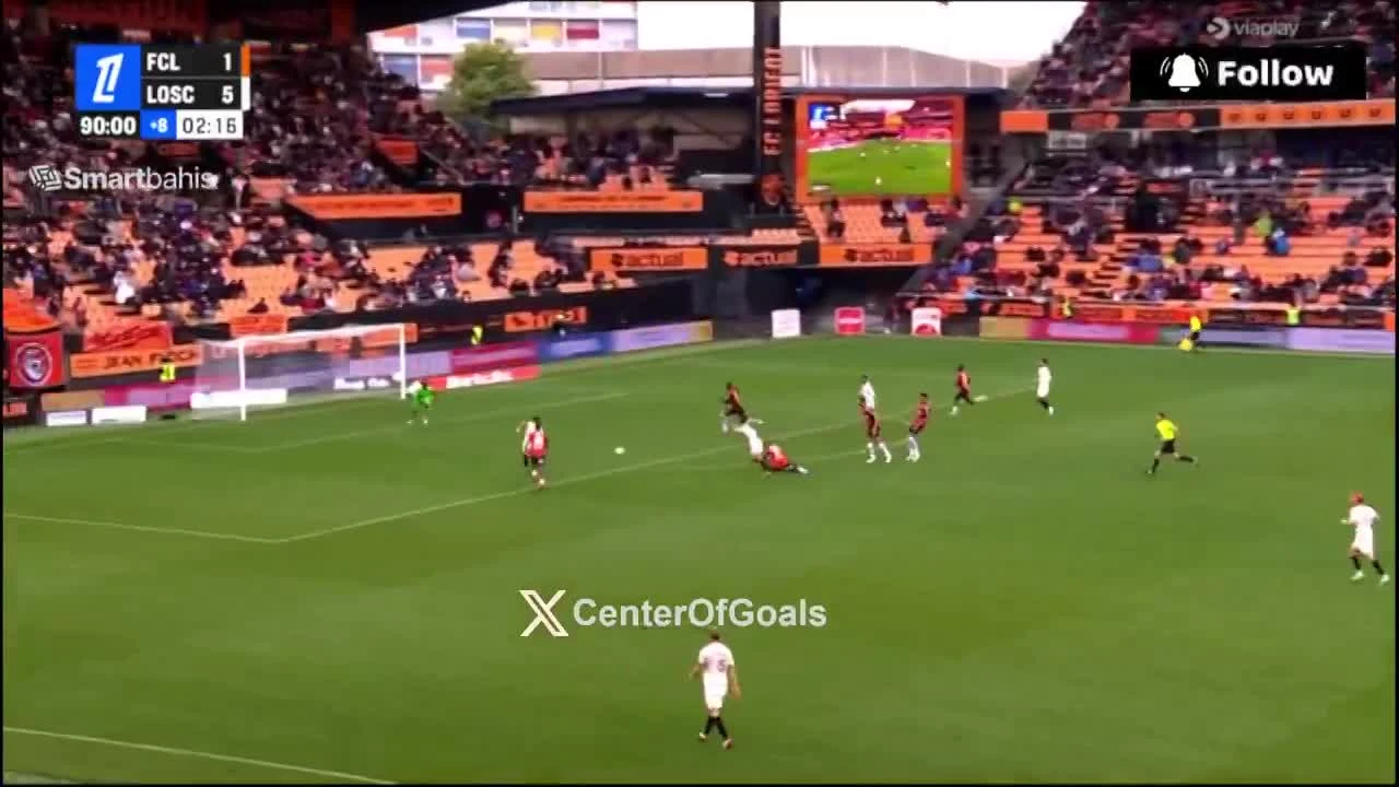 zaslepka skrotu video