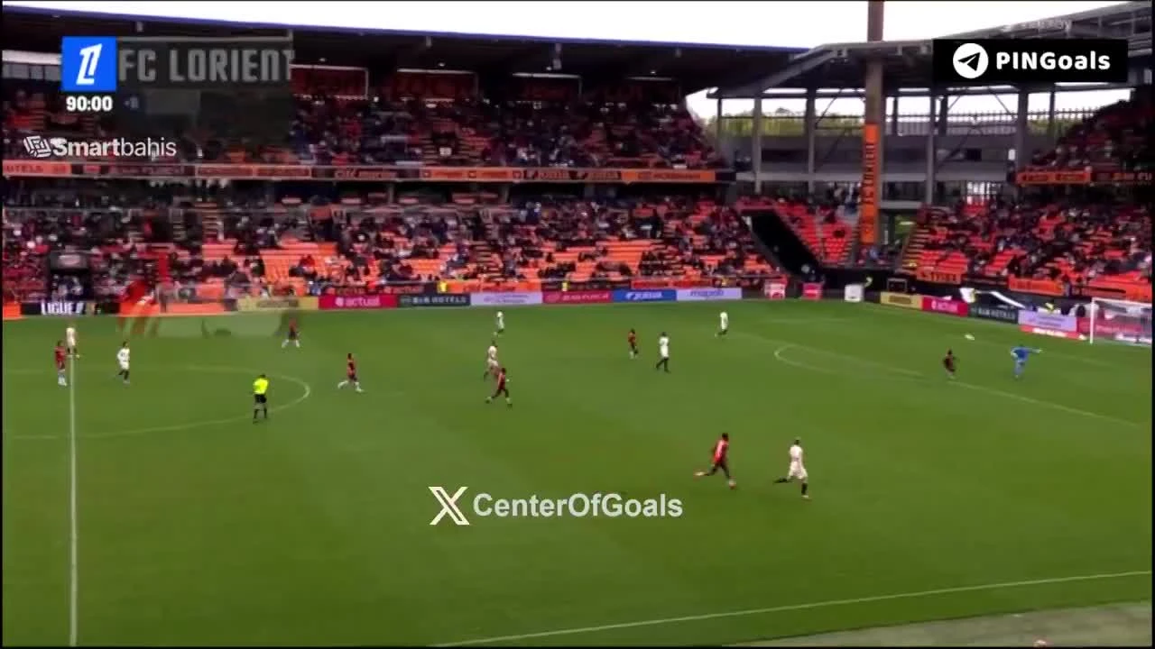 zaslepka skrotu video