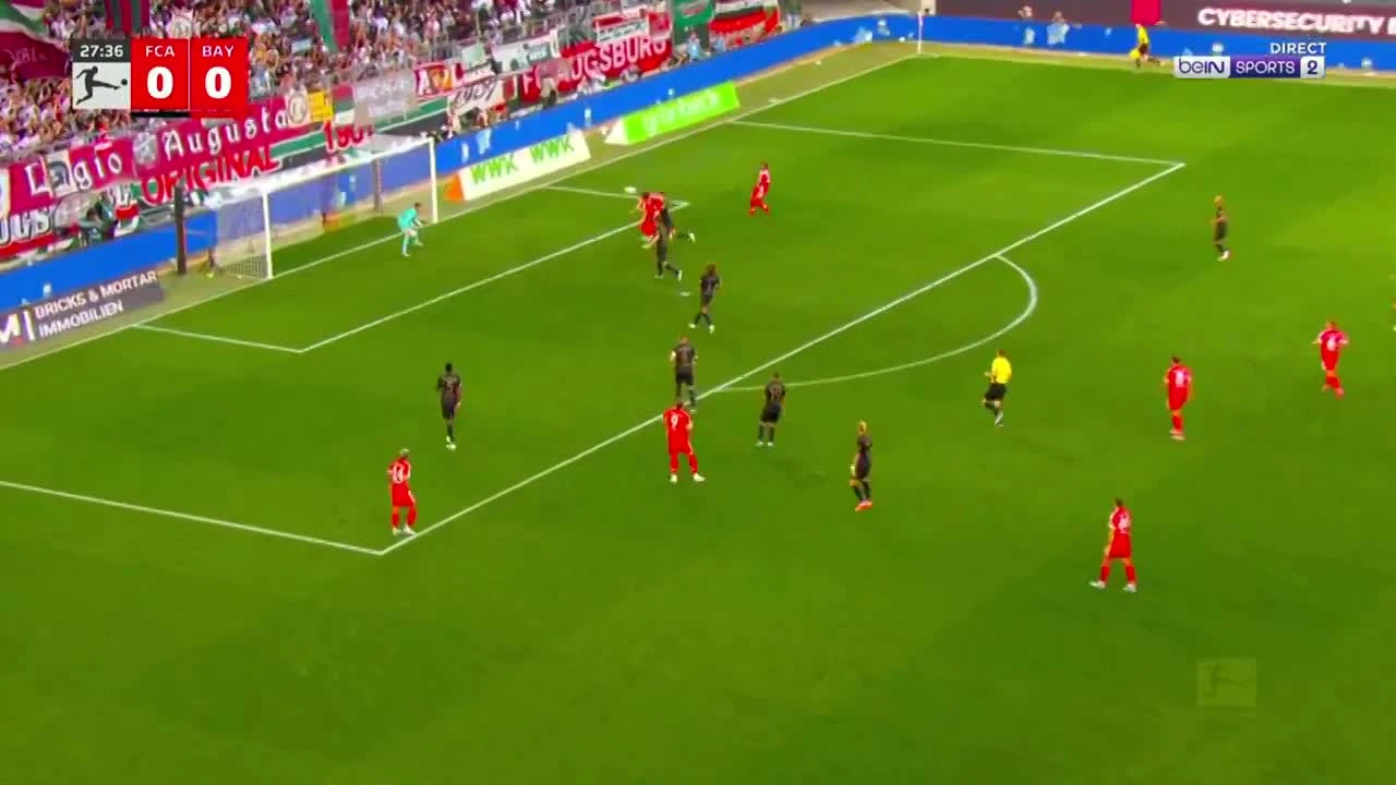 zaslepka skrotu video