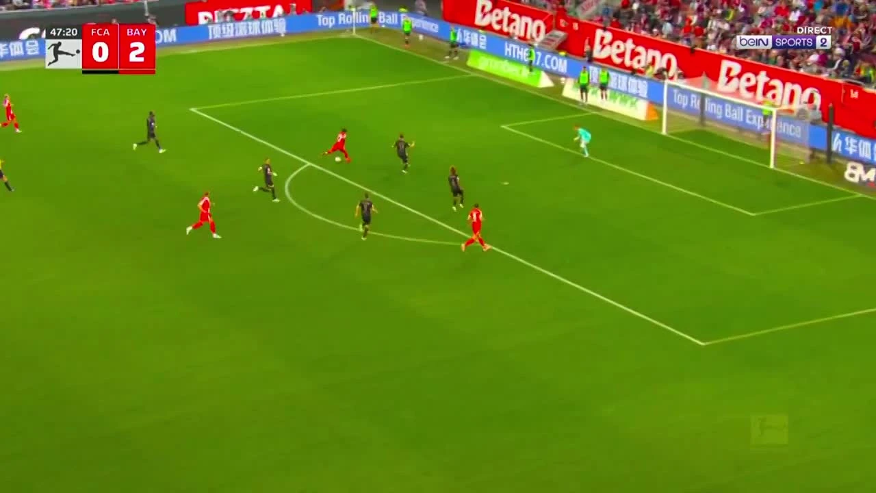 zaslepka skrotu video