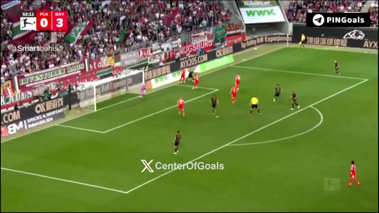 zaslepka skrotu video
