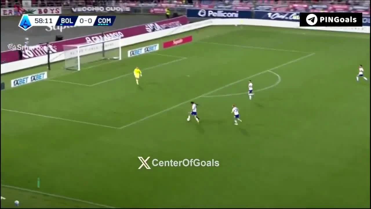 zaslepka skrotu video
