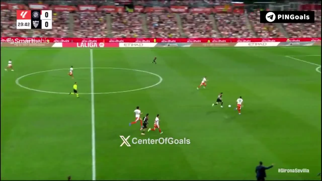 zaslepka skrotu video