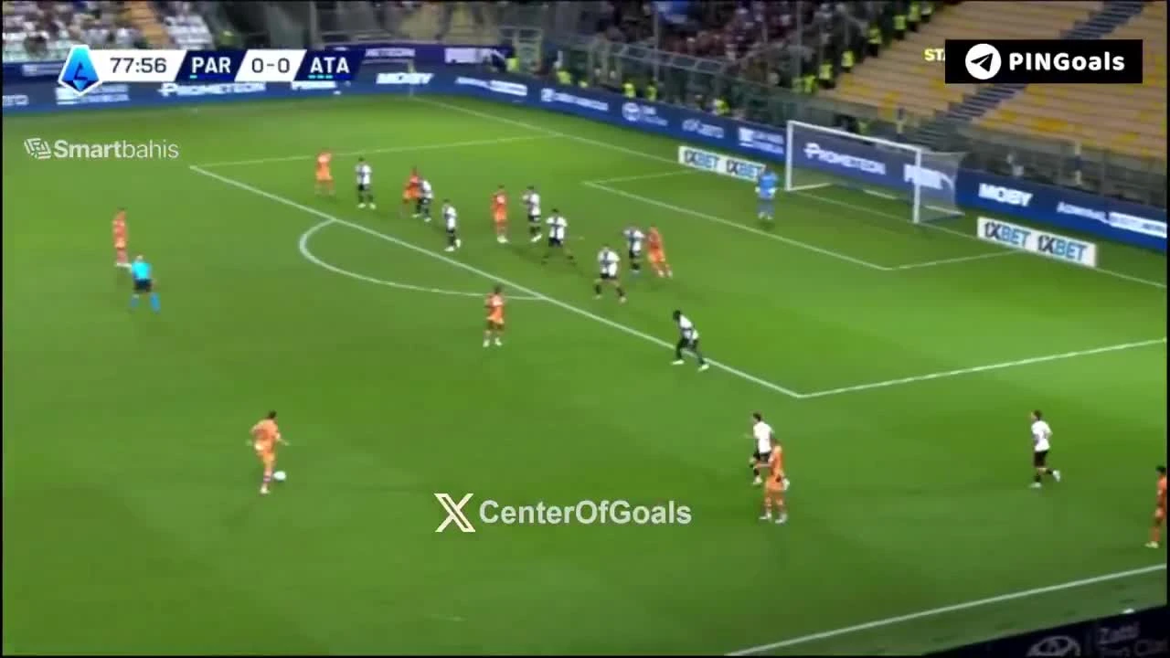 zaslepka skrotu video