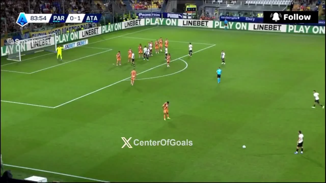 zaslepka skrotu video