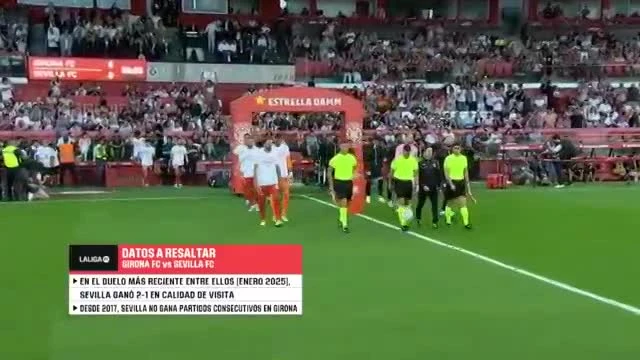 zaslepka skrotu video