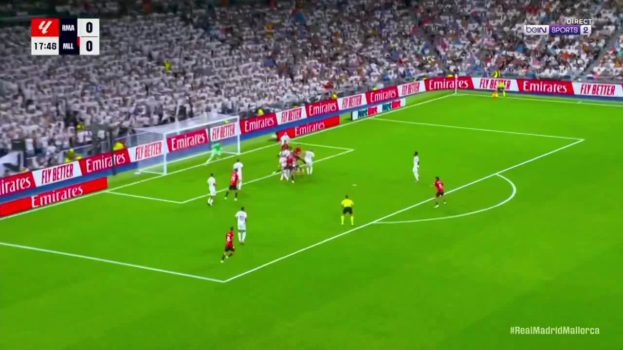 zaslepka skrotu video