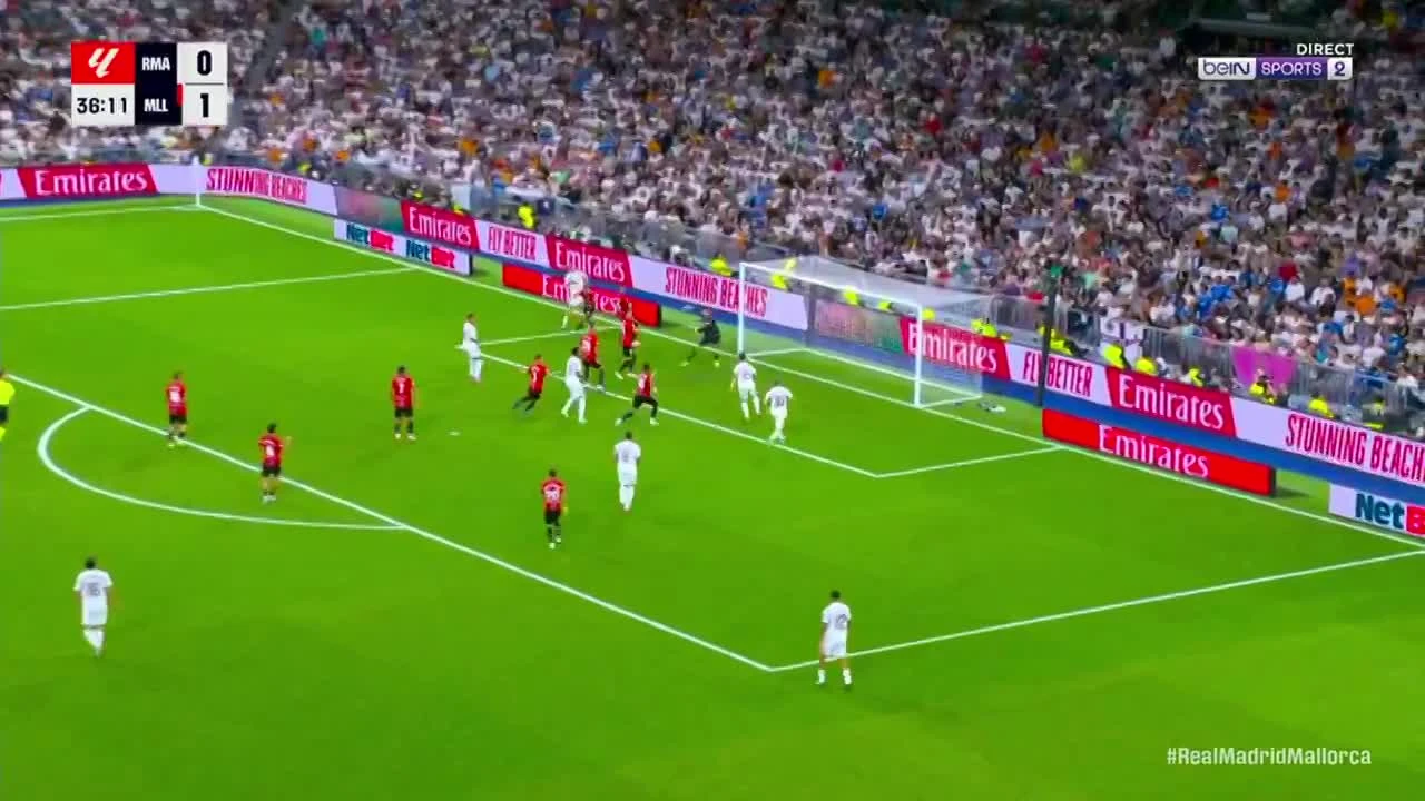 zaslepka skrotu video