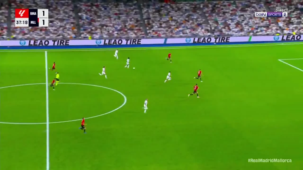zaslepka skrotu video